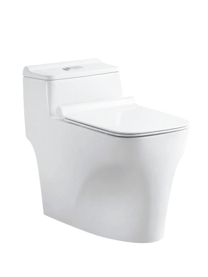 Siphon type one-piece toilet