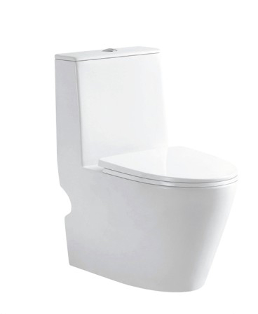 Siphon type one-piece toilet