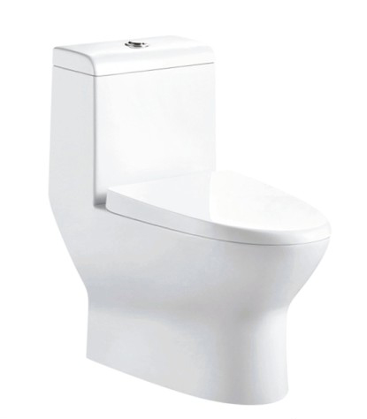 Siphon type one-piece toilet