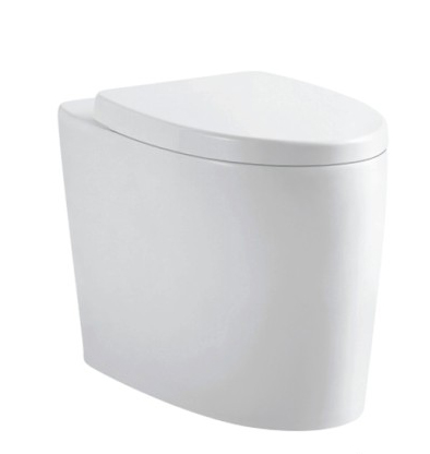 Siphon type one-piece toilet